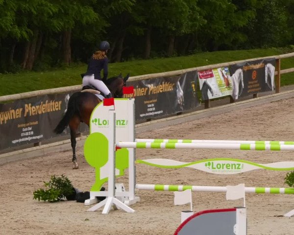 Reitturnier Ruhlsdorf 2022