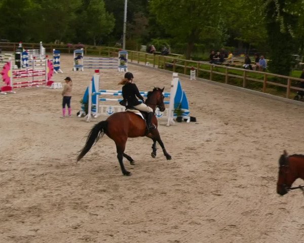 Reitturnier Ruhlsdorf 2022