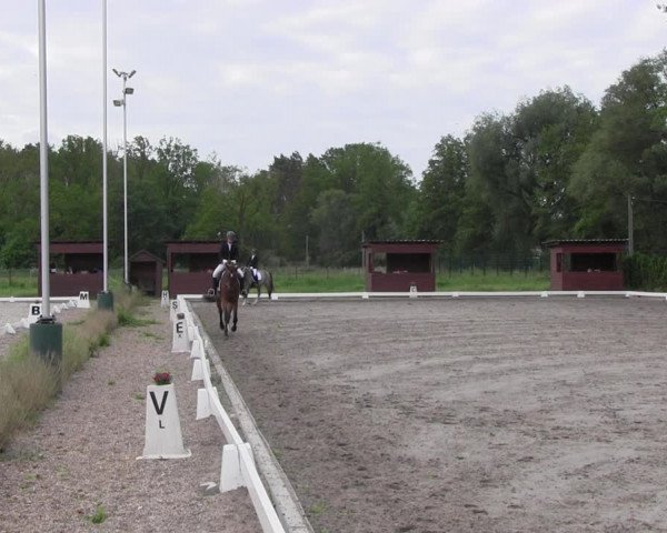 Reitturnier Schönwalde-Glien 2022