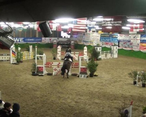 jumper Donna de la Luna (German Warmblood, 1997, from Deichgraf)