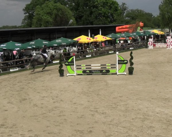 Reitturnier Kirchhellen/Stall Dieckmann 2022