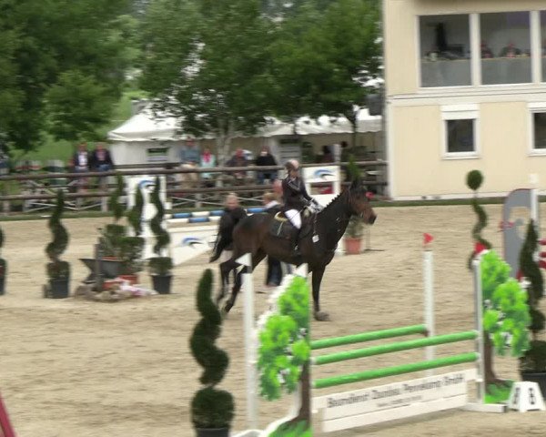 Reitturnier Kirchhellen/Stall Dieckmann 2022