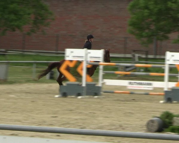Reitturnier Coesfeld/Lette 2022