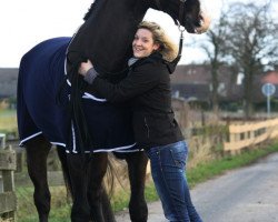 dressage horse Can Dance (Hanoverian, 2004, from Chico's Boy)