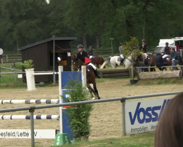 Reitturnier Coesfeld/Lette 2022