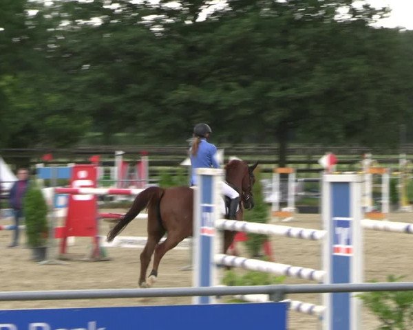 Reitturnier Coesfeld/Lette 2022