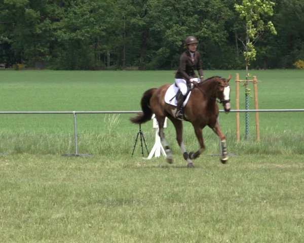 Reitturnier Alvern 2022