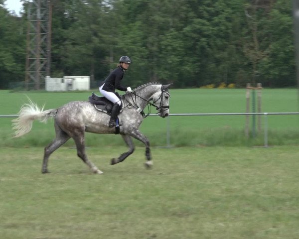 Reitturnier Alvern 2022
