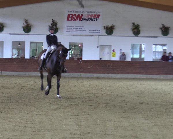 Reitturnier Coesfeld/Lette 2022