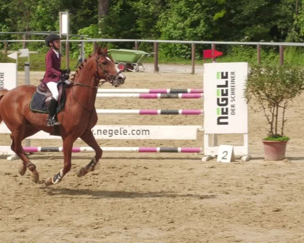 Reitturnier Winnenden 2022