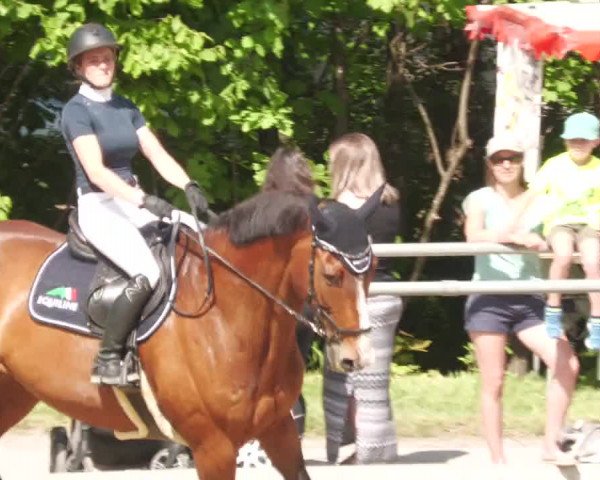 Reitturnier Winnenden 2022