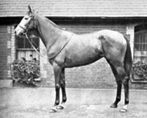broodmare Mah Iran xx (Thoroughbred, 1939, from Bahram xx)