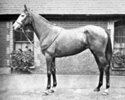 broodmare Mah Iran xx (Thoroughbred, 1939, from Bahram xx)