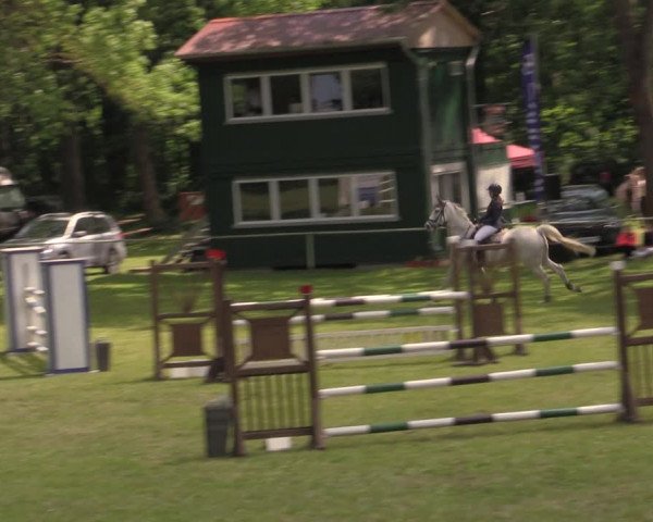 Reitturnier Helmsdorf 2022