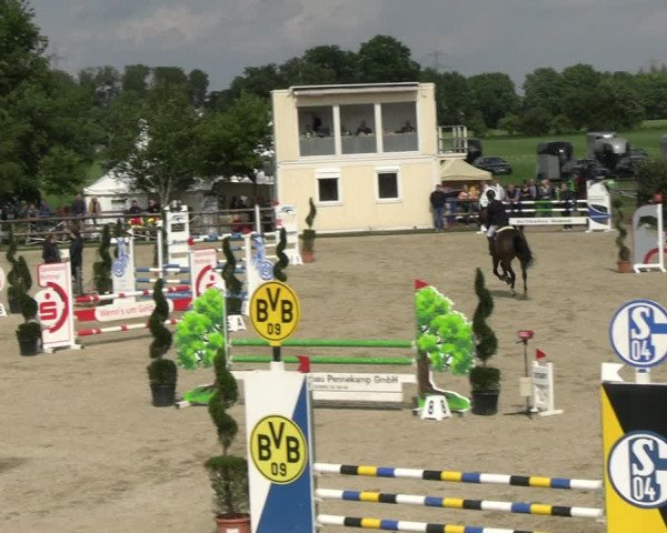 Reitturnier Kirchhellen/Stall Dieckmann 2022