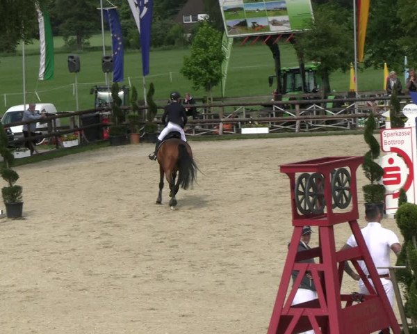 Reitturnier Kirchhellen/Stall Dieckmann 2022