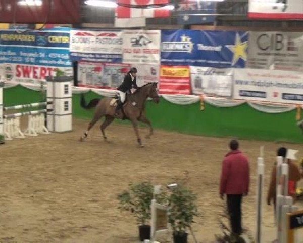 Springpferd Clamiro (Holsteiner, 2001, von Clinton I)