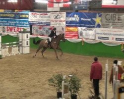 Springpferd Clamiro (Holsteiner, 2001, von Clinton I)