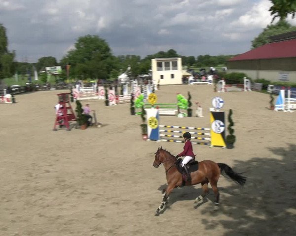 Reitturnier Kirchhellen/Stall Dieckmann 2022