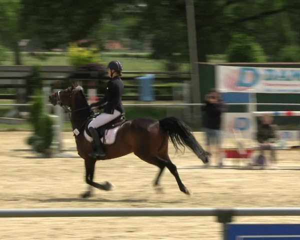 Reitturnier Coesfeld/Lette 2022