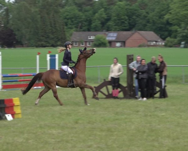 Reitturnier Alvern 2022