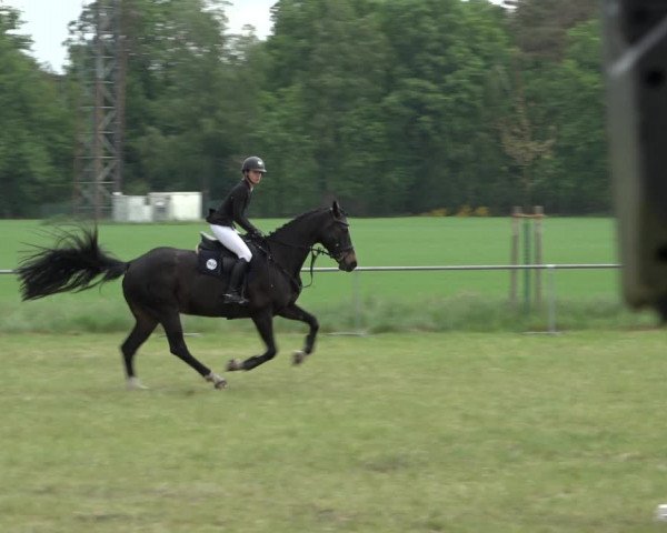 Reitturnier Alvern 2022