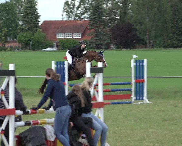 Reitturnier Alvern 2022