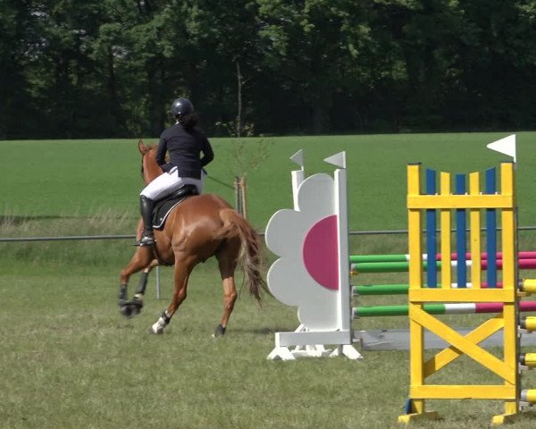 Reitturnier Alvern 2022