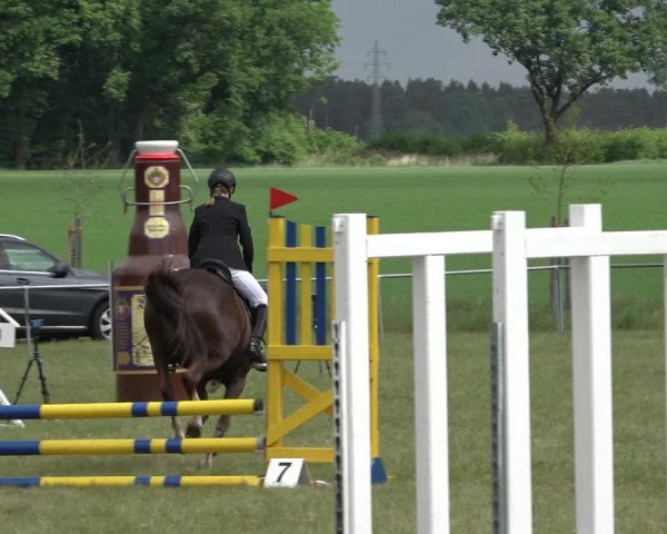 Reitturnier Alvern 2022