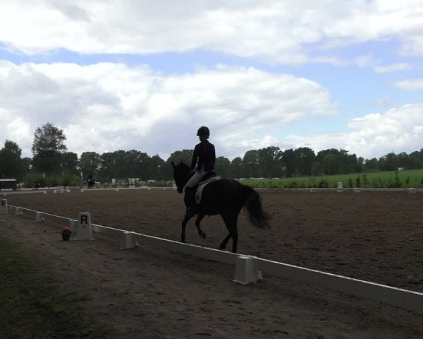 Reitturnier Alvern 2022