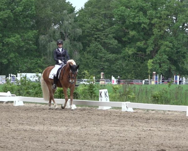 Reitturnier Alvern 2022