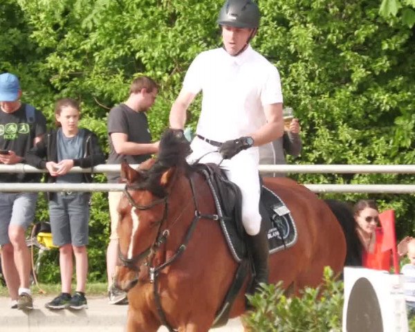 Reitturnier Winnenden 2022