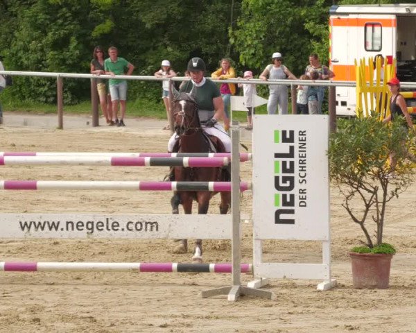 Reitturnier Winnenden 2022