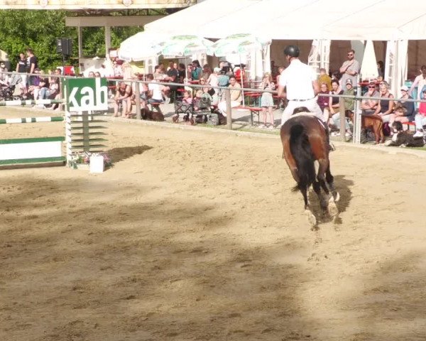Reitturnier Winnenden 2022