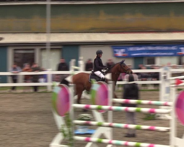 Reitturnier Mildstedt 2022