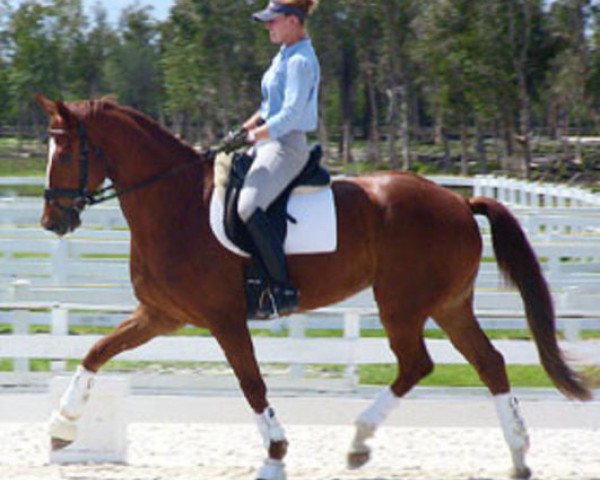 horse Tunika (Brandenburg, 2001, from Donjour)