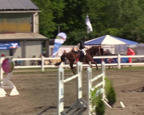 Reitturnier Mildstedt 2022
