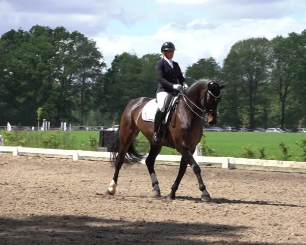 Reitturnier Alvern 2022