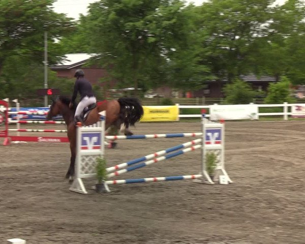Reitturnier Mildstedt 2022