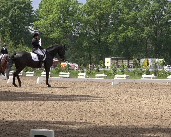 Reitturnier Alvern 2022