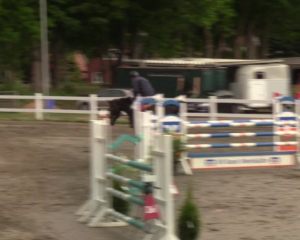 Reitturnier Mildstedt 2022