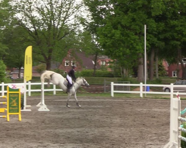 Reitturnier Mildstedt 2022