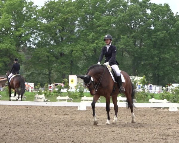 Reitturnier Alvern 2022