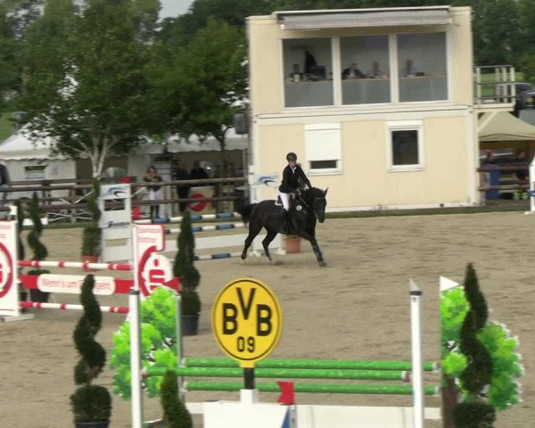 Reitturnier Kirchhellen/Stall Dieckmann 2022