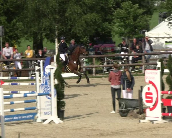 Reitturnier Kirchhellen/Stall Dieckmann 2022