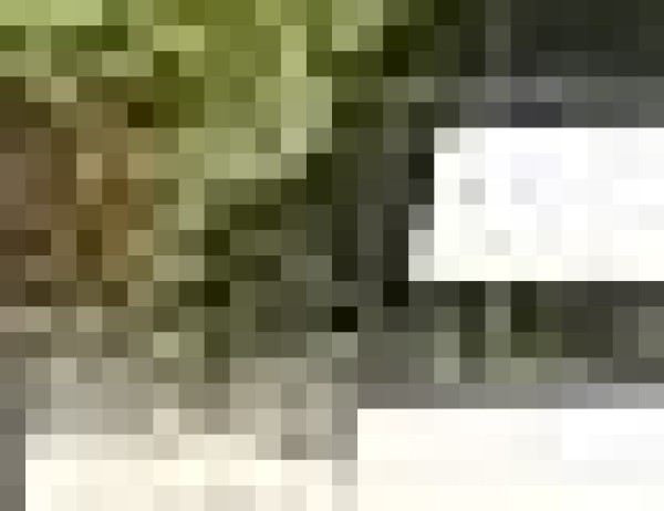 Dressurpferd Fleur Rouge N (Hannoveraner, 2003, von Falkenstern II)