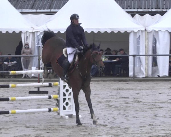 Reitturnier Neunkirchen-City 2021