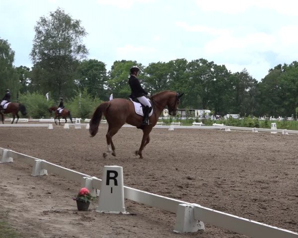 Reitturnier Alvern 2022