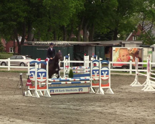 Reitturnier Mildstedt 2022