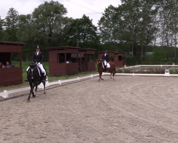 Reitturnier Schönwalde-Glien 2022